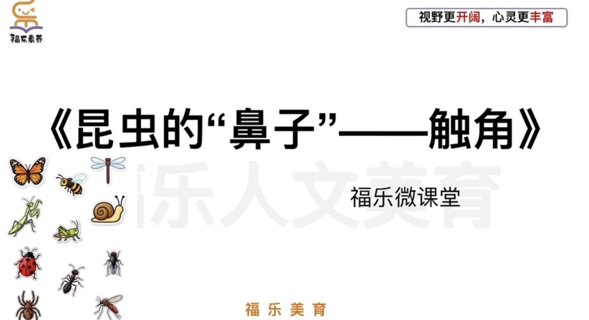 29.《昆虫的“鼻子”——触角》阅读理解