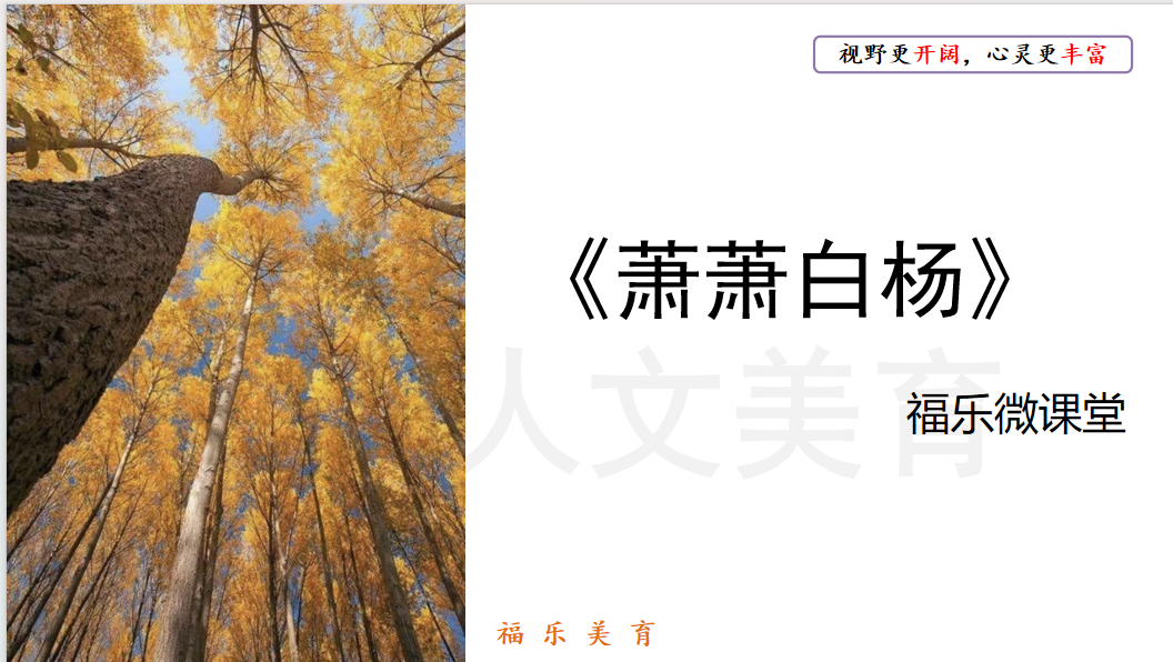 36.《萧萧白杨》阅读理解精讲